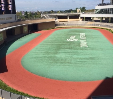 中京競馬パドック